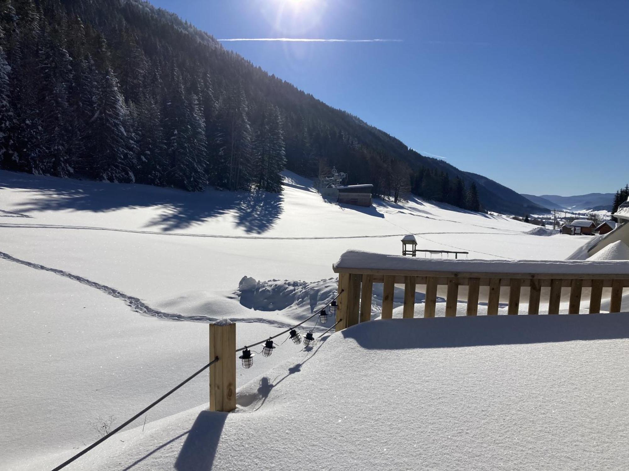 Gite La Resilience, Sur La Piste De Ski D'Autrans Villa Room photo