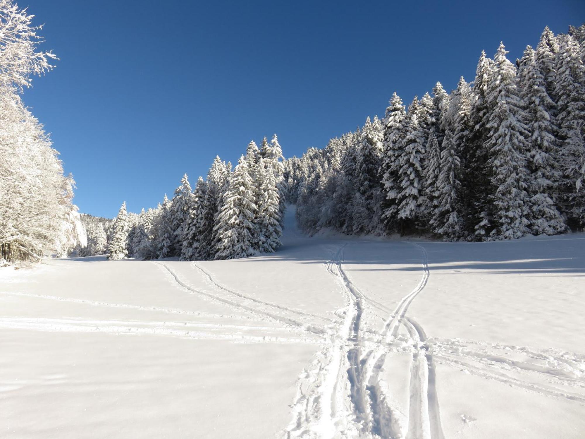 Gite La Resilience, Sur La Piste De Ski D'Autrans Villa Exterior photo